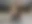 28424251_1668678786531927_8786676774117002281_o