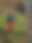 IMG_7024